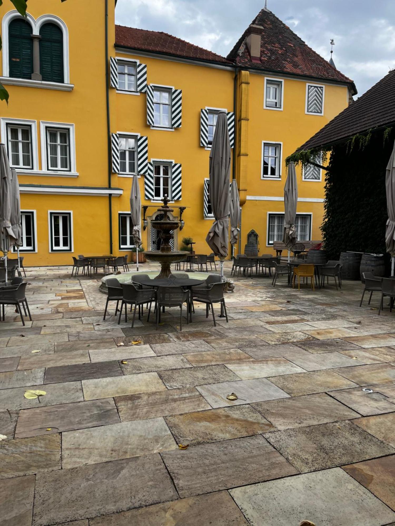 Georgi Schloss - Boutique Hotel إيهرينهاوزين المظهر الخارجي الصورة